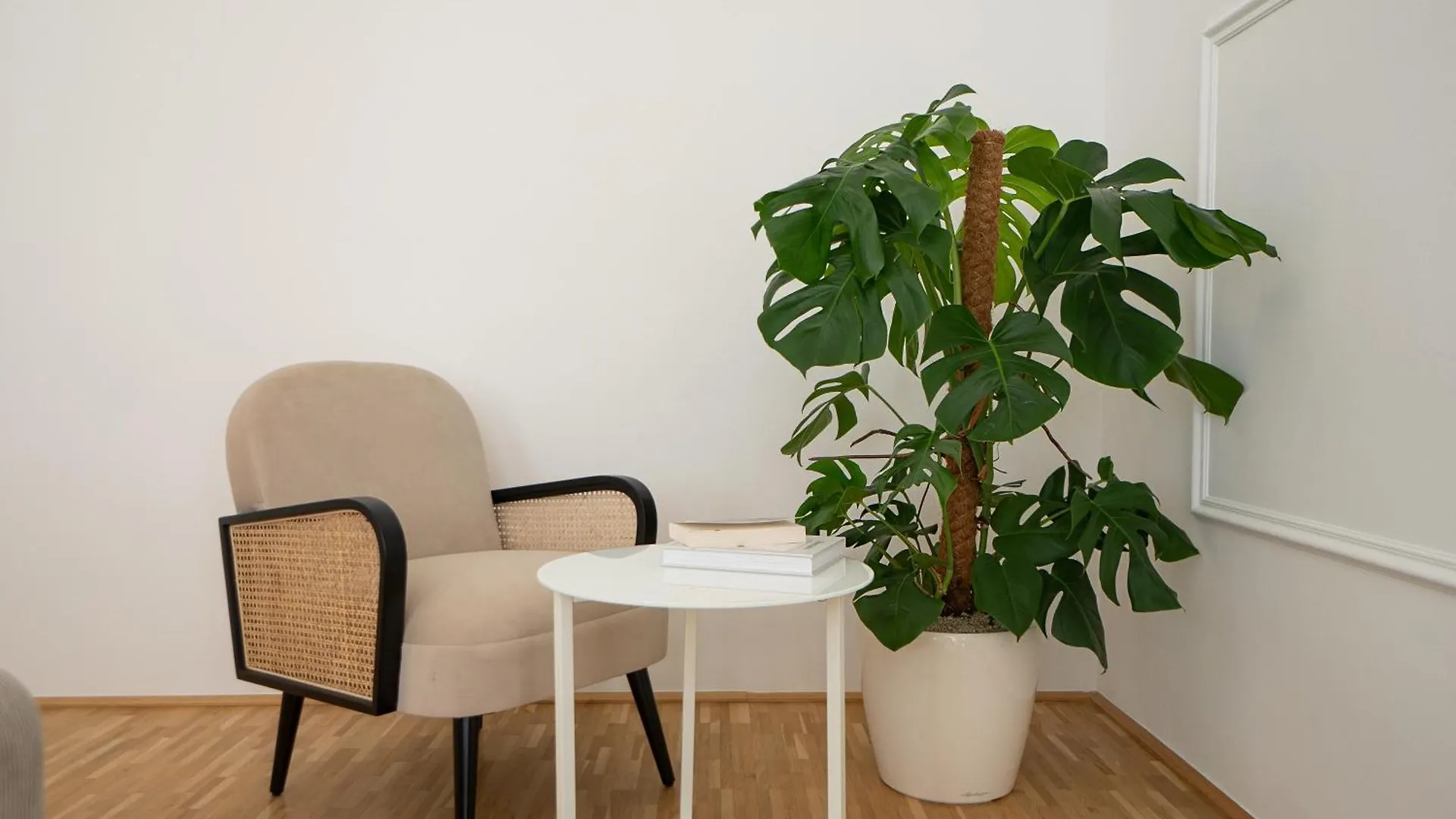 Apartment Vibrant 107 M2 Flat In The City Center Vienna Austria